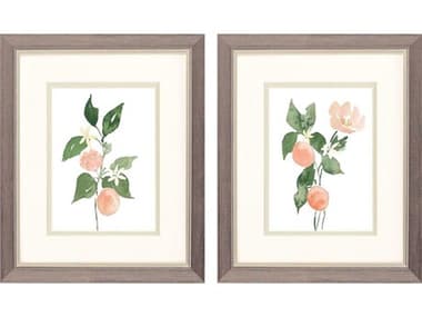 Paragon Florals Orange Blossom Wall Art Set of 2 PAD48571