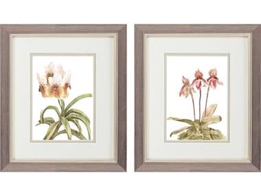 Paragon Florals Floral Beauty-II Wall Art Set of 2 PAD48579