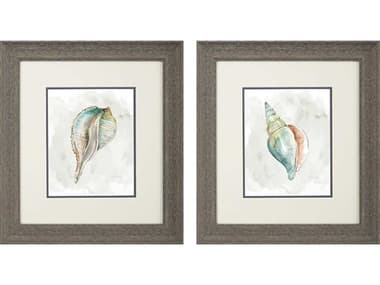 Paragon Waterside Pastel Shell Wall Art Set of 2 PAD48580