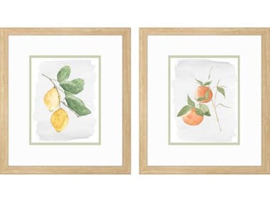 Paragon Florals Fresh Citrus Wall Art Set of 2 PAD48583