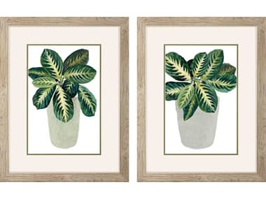 Paragon Florals Prayer Plant Wall Art Set of 2 PAD48601