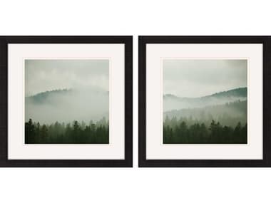 Paragon Photography Verdant Country Wall Art Set of 2 PAD48626