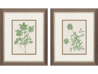 Paragon Vintage Garden Wall Art Set of 2 PAD48647