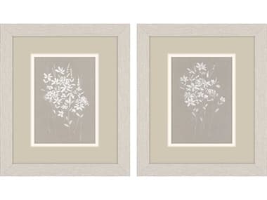 Paragon Delicate Botanicals Wall Art Set of 2 PAD48649