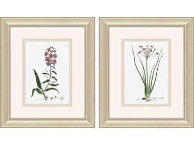 Paragon Rose Botanical Wall Art Set of 2 PAD48650