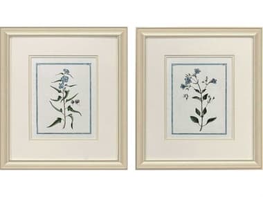 Paragon Florals Shabby Chic Botanical Wall Art Set of 2 PAD48741