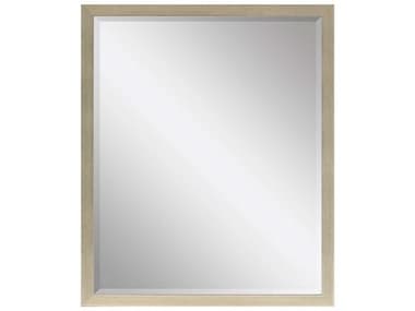 Paragon Beveled Rectangular Wall Mirror PAD8127