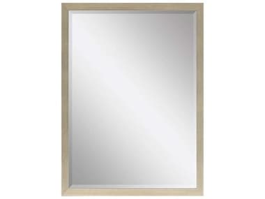 Paragon Beveled Rectangular Wall Mirror PAD8128