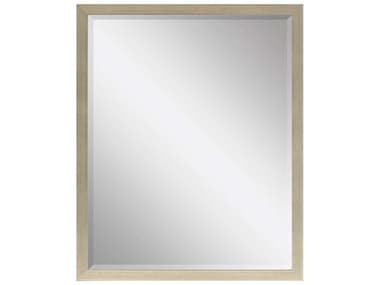 Paragon Beveled Rectangular Wall Mirror PAD8129