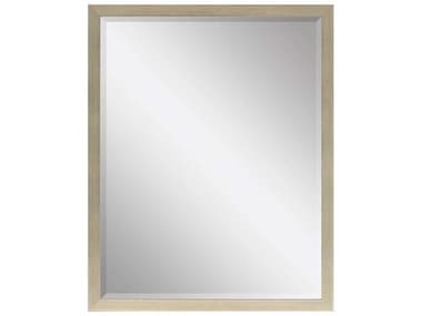 Paragon Beveled Rectangular Wall Mirror PAD8130