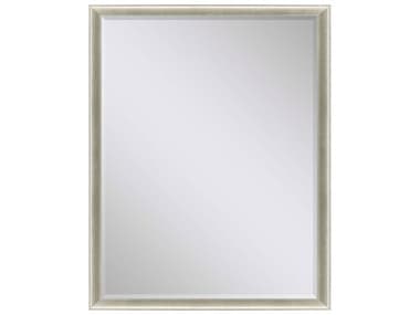 Paragon Beveled Metallic Rectangular Wall Mirror PAD8194