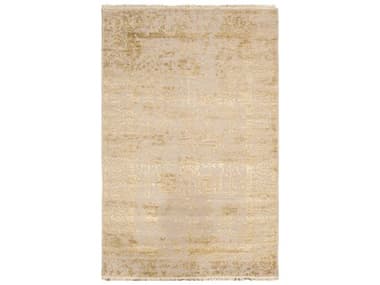 Pasargad Home Transitional Bordered Area Rug PDVASE3GLD4X6