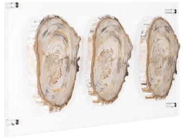 Phillips Collection Brown / Black / Clear Floating Petrified Triple Slice Wall Art PHCID100873