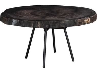 Phillips Collection Elements Petrified 31" Wood Black Gray Coffee Table PHCID114671