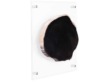 Phillips Collection Black / Beige Floating Petrified Slice Wall Art PHCID97236