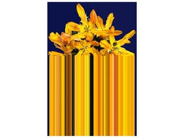 Qeeboo Glitch Abstract Area Rug QB42003GCYE