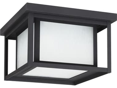 Sea Gull Lighting Hunnington Black 2-light Outdoor Ceiling Light SGL79039EN312