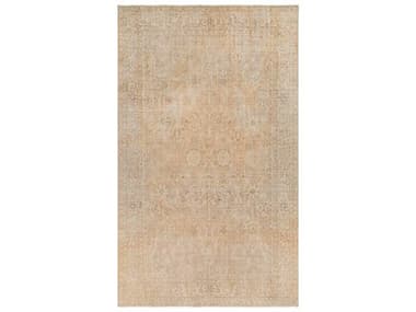 Surya Antique One Of A Kind Bordered Area Rug SYAOOAK1149REC