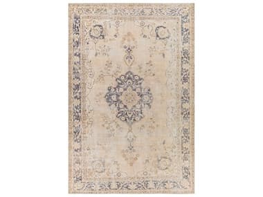 Surya Antique One Of A Kind Bordered Area Rug SYAOOAK1175REC