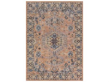 Surya Daytona Beach Burnt Orange / Sky Blue / Dark Brown Rectangular Area Rug SYDYT2310