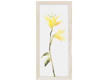 Surya Wall Decor Framed Art SYTIP50021226