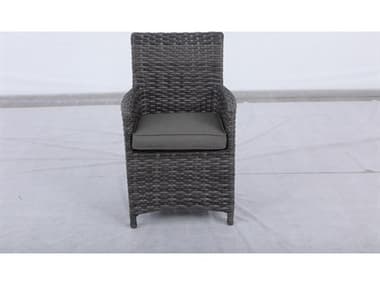 Teva Bora Bora Set of 2 Wicker Rattan Outdoor Dining Chairs with Arms TE103ADC