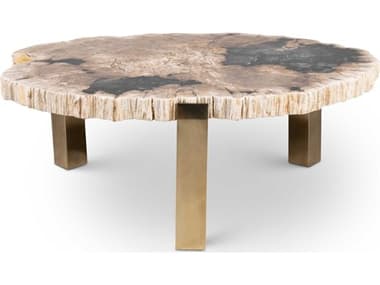 Urbia Relique Kol 44" Wood Natural Dark Brass Coffee Table URBIPJKOLCTDK