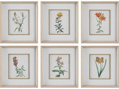 Uttermost Classic Botanicals Framed Prints Set of 6 UT32284