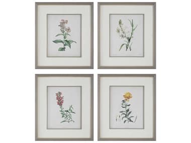 Uttermost Heirloom Blooms Study Framed Prints Set of 4 UT32285