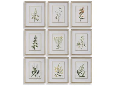 Uttermost Botanical Flowers Framed Prints Set of 9 UT32339