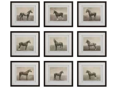 Uttermost Equine Dynasty Framed Prints Set of 9 UT32343