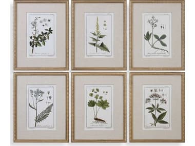 Uttermost Grace Feyock Green Floral Botanical Study Prints Set of 6 UT33651