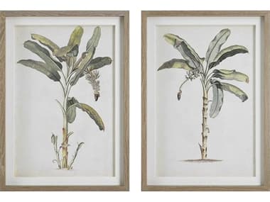 Uttermost Banana Palm Framed Prints (Set of 2) UT41446