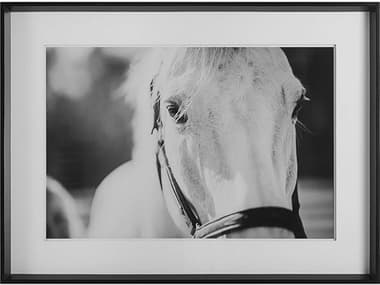 Uttermost Eyes On The Prize Framed Print UT41464