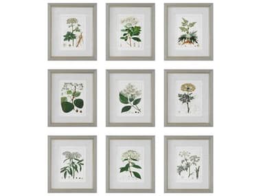 Uttermost Antique Botanicals Framed Print / Painting Set of 9 UT41466