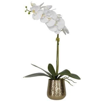 Uttermost Cami Orchid Brass Botanical UT60189