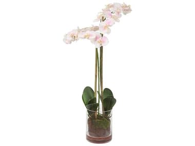 Uttermost Blush Orchid Clear Glass Blush Pink And White Orchid Decorative Accent UT60196