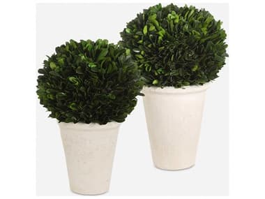 Uttermost Preserved Boxwood Domes (Set of 2) UT60224