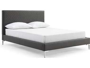 Whiteline Modern Living Liz Dark Grey Silver Queen Platform Bed WMLBQ1689PDGRY