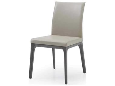 Whiteline Modern Living Stella Oak Wood Beige Faux Leather Armless Dining Chair Set of 2 WMLDC1454GRYTAU