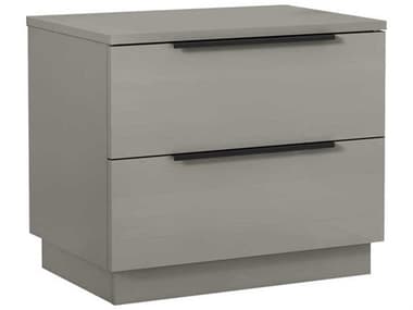 Whiteline Modern Living Damien 2-Drawers Gray Nightstand WMLNS2022LGRYBLK