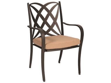 Woodard Apollo Cast Aluminum Dining Arm Chair with Cushion WR7U0417ST