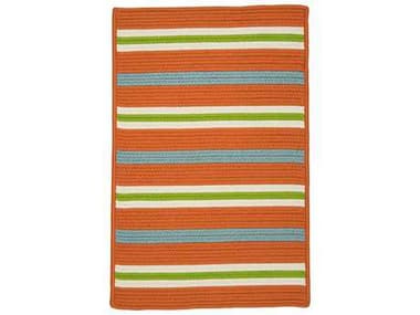 Colonial Mills Painter Stripe Braided Area Rug CIPS21RGREC