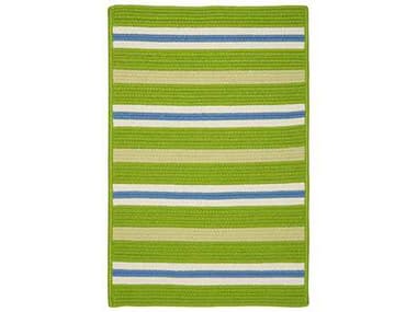 Colonial Mills Painter Stripe Braided Area Rug CIPS61RGREC