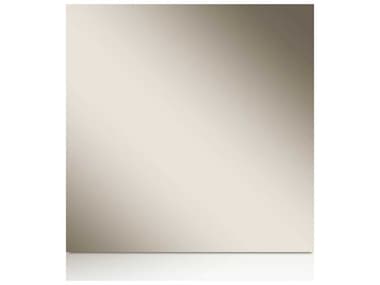 Essentials for Living Vivente Grey Birch Wall Mirror ESL2130GBHG