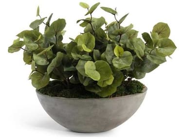 John Richard Greenery Botanical JRJRB4164