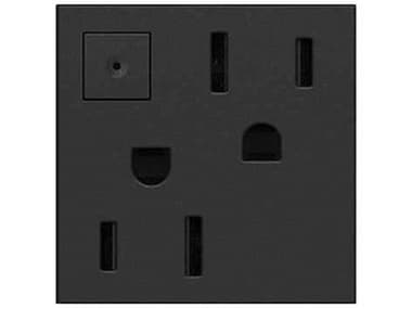 Legrand Outlets Graphite 15A Energy-Saving On/Off Outlet LGRARPS152G4