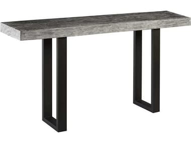 Phillips Collection 60" Rectangular Wood Grey Stone Console Table PHCTH95588