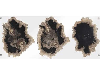 Phillips Collection Brown / Black / Clear Floating Petrified Triple Slice Wall Art PHCID100873