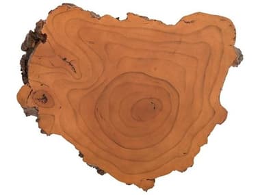Phillips Collection Faux Bois Brown 23'' Wide Burled Root Wall Art PHCPH84783
